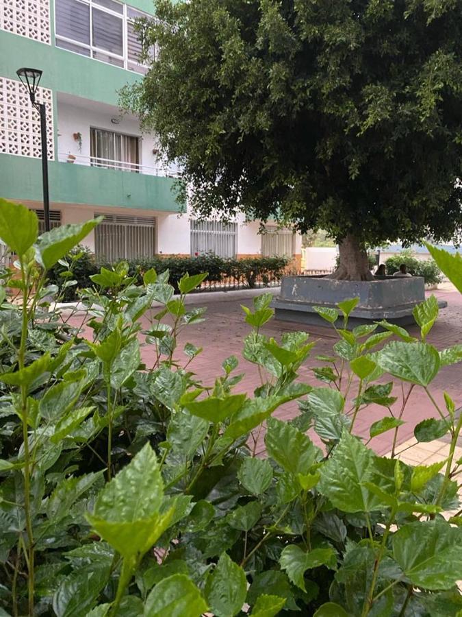 Apartament Detail Rose Puerto de la Cruz  Zewnętrze zdjęcie
